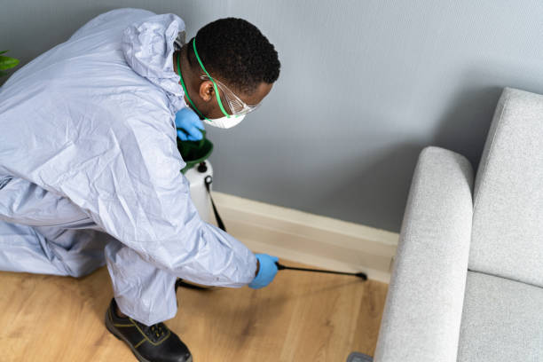 Professional Pest Control in Neillsville, WI